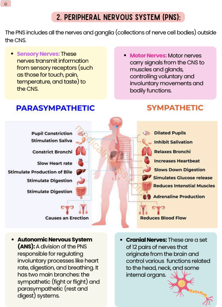 Screenshot 2024-10-13 at 1.54.15 PM